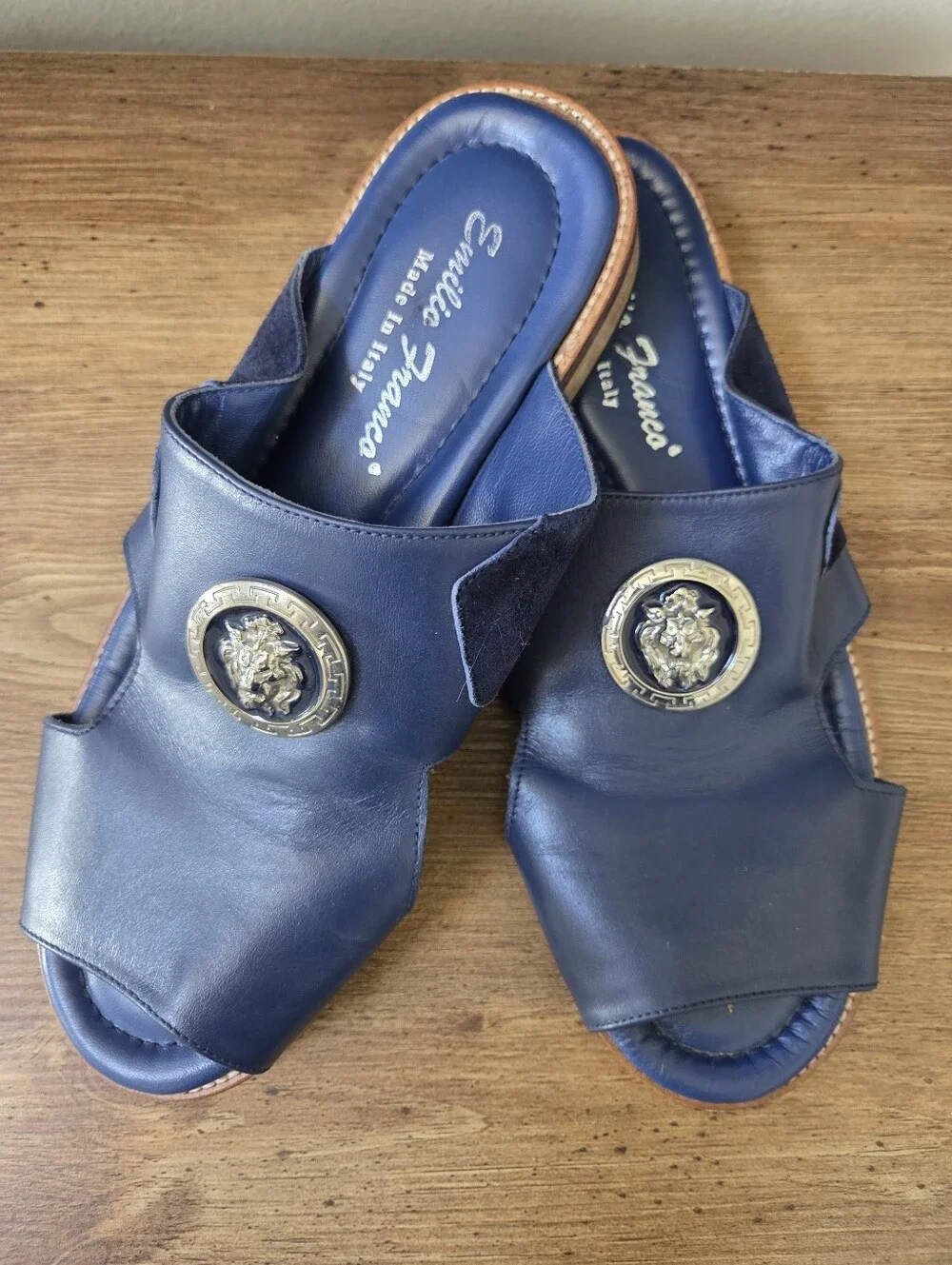 Rare & Unique Emilio Franco Italian Navy Leather Lion Medallion Mule Sandals